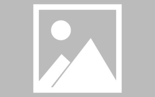 磐石网页优化和设计人才（网站优化职位）
